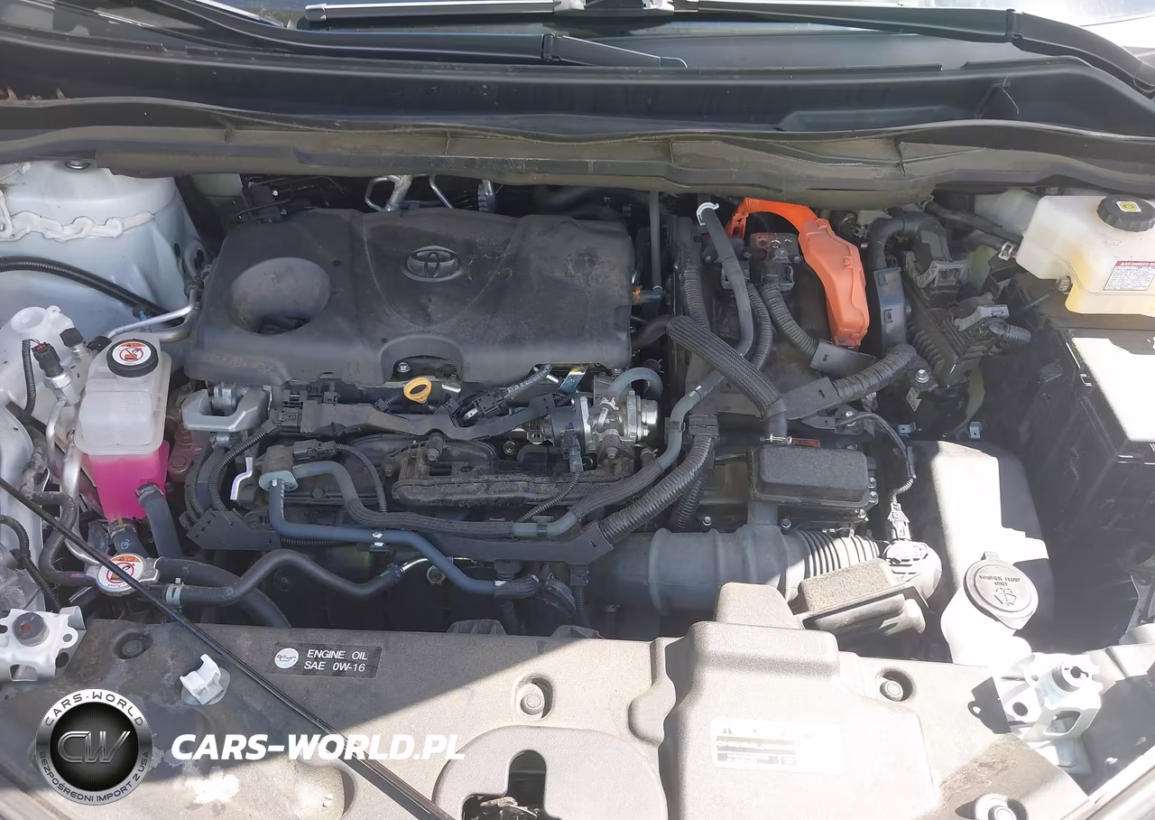 2023 Toyota Sienna Xle VIN:5TDJSKFC9PS100780 - 10