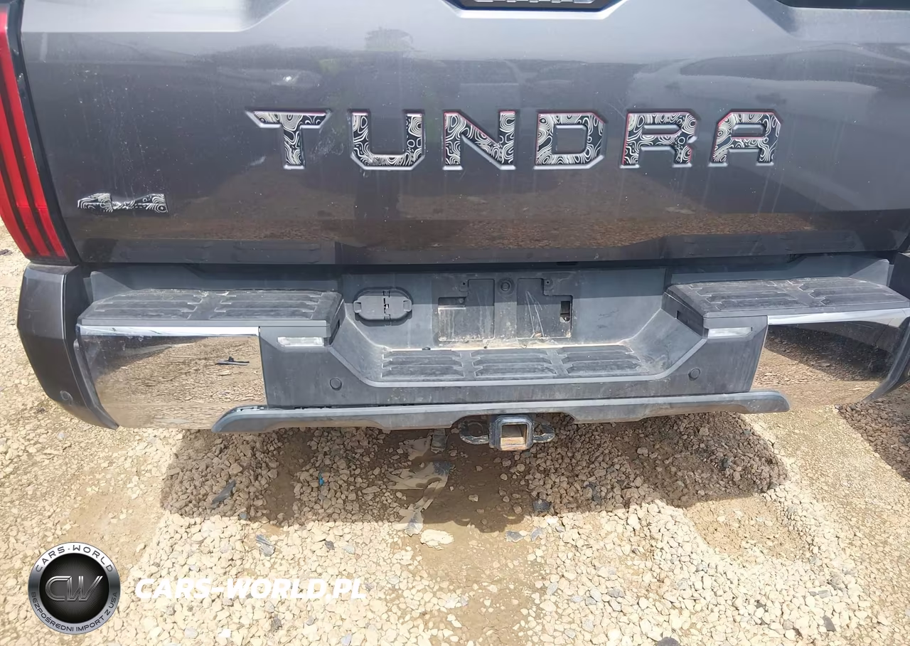 2022 Toyota Tundra Sr5 VIN:5TFLA5EC6NX008807 - 20