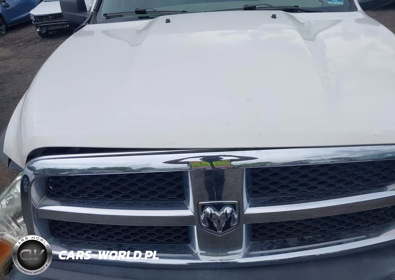 2010 Dodge Ram 1500 St VIN:1D7RB1CP6AS156040 - 10