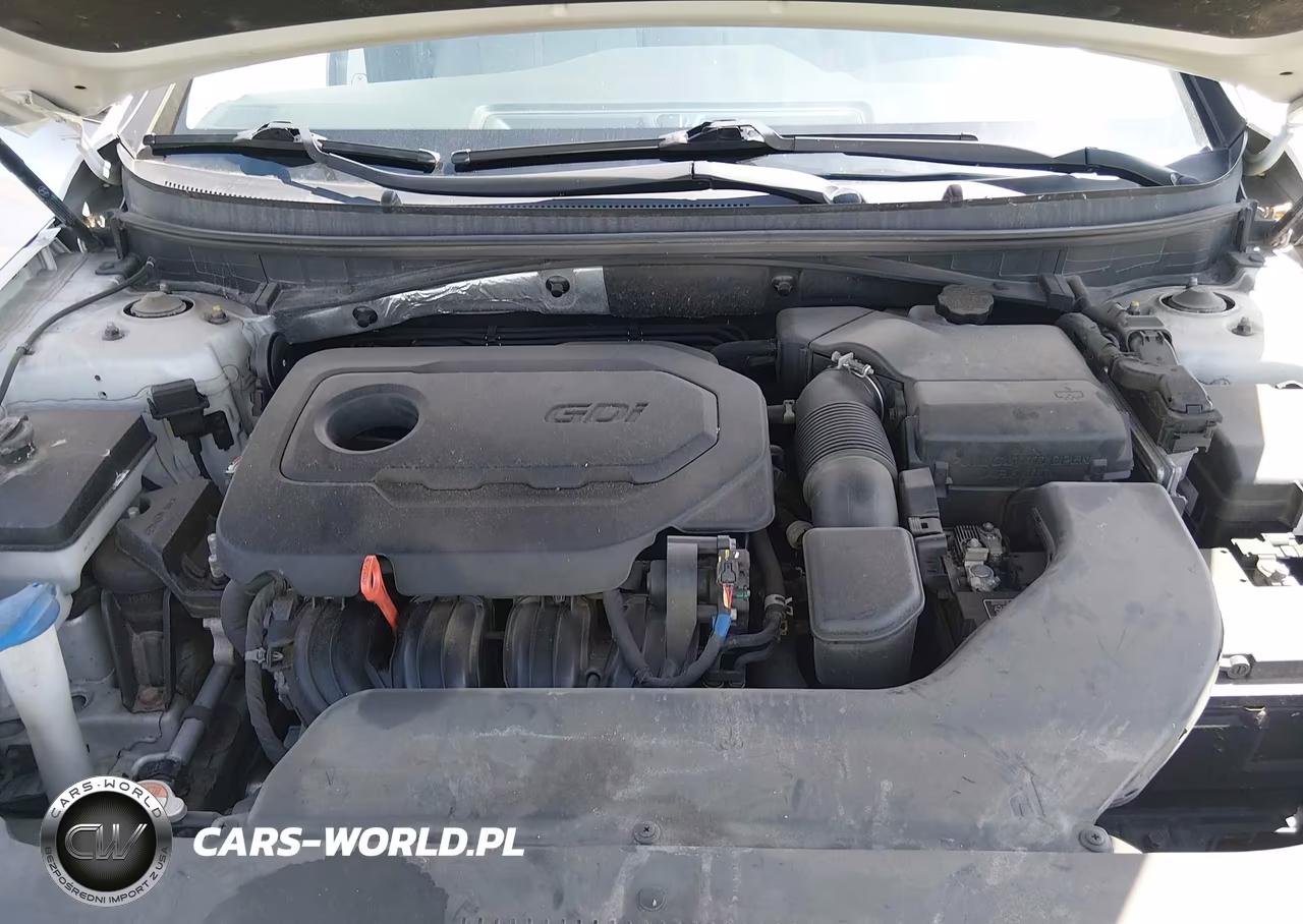 2017 Hyundai Sonata Se VIN:5NPE24AF6HH513102 - 10
