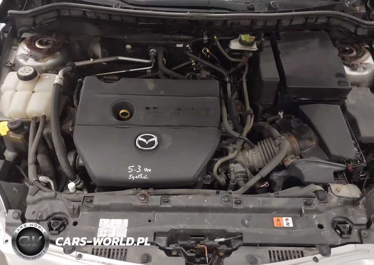 2010 Mazda Mazda3 S Sport VIN:JM1BL1H55A1230215 - 10