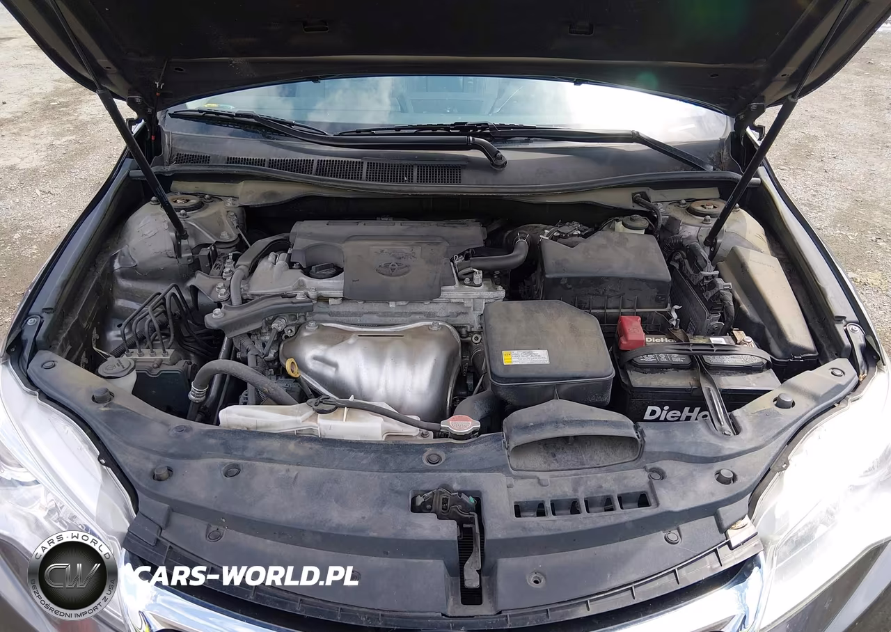 2016 Toyota Camry Xle VIN:4T4BF1FK1GR568719 - 10