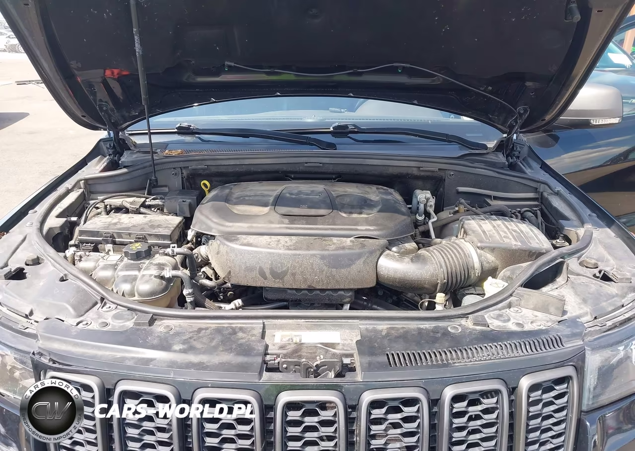 2019 Jeep Grand Cherokee Trailhawk 4X4 VIN:1C4RJFLG1KC686888 - 10