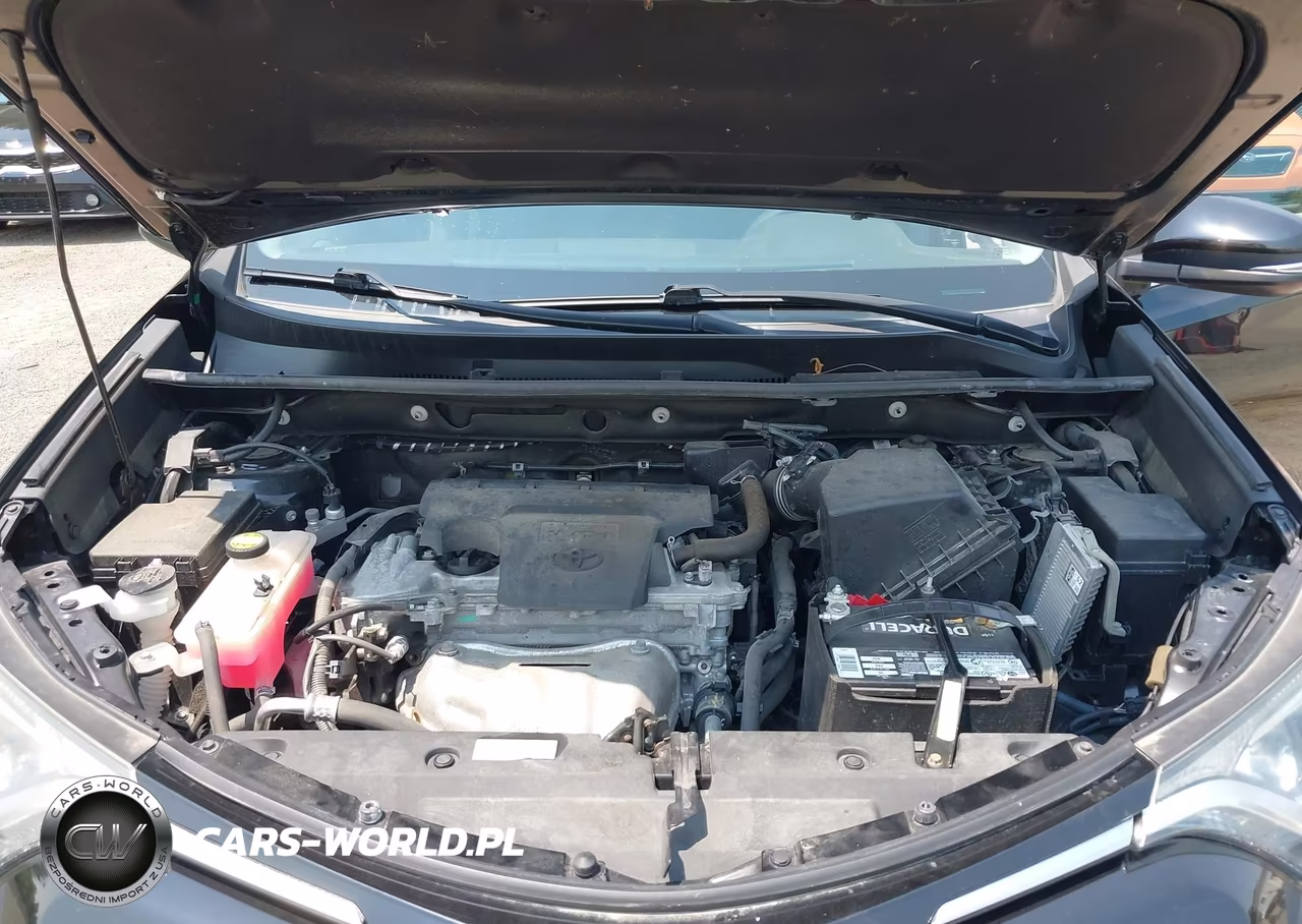 2017 Toyota Rav4 Xle VIN:2T3RFREV1HW607661 - 10