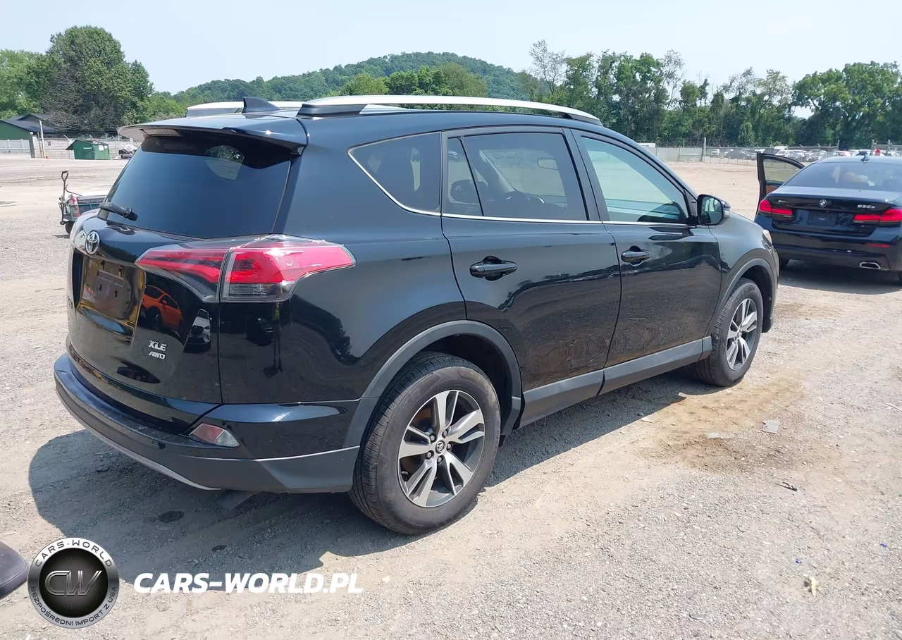 2017 Toyota Rav4 Xle VIN:2T3RFREV1HW607661 - 4
