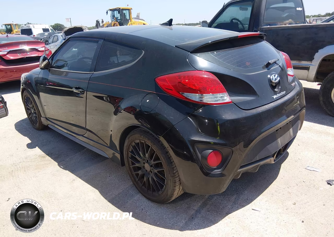 2013 Hyundai Veloster Turbo W-Black VIN:KMHTC6AE5DU168924 - 3