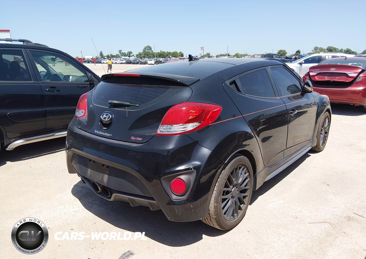 2013 Hyundai Veloster Turbo W-Black VIN:KMHTC6AE5DU168924 - 4