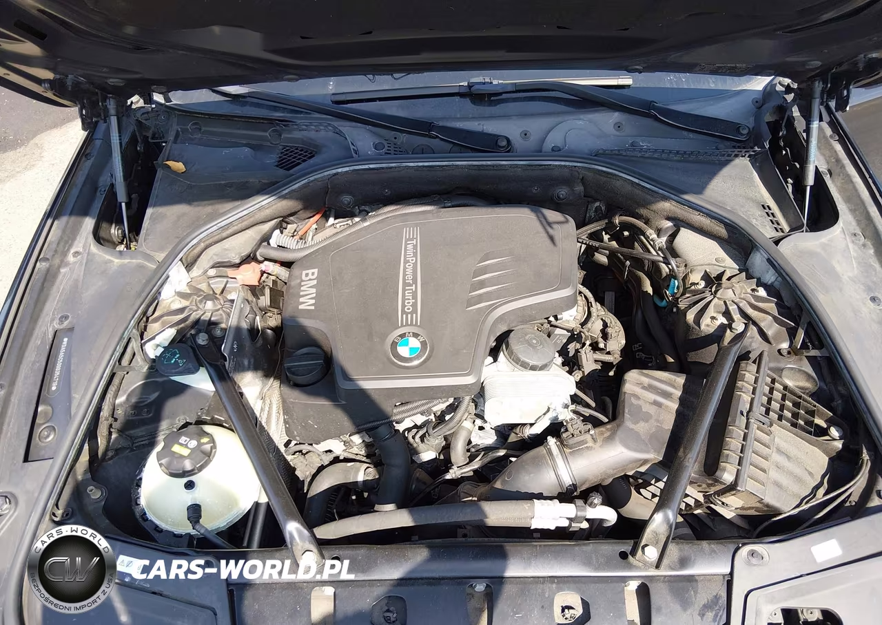 2016 BMW 528I VIN:WBA5A5C50GG354719 - 10