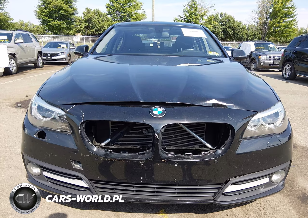 2016 BMW 528I VIN:WBA5A5C50GG354719 - 12