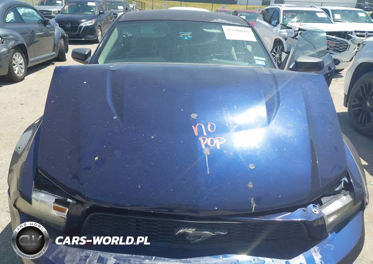 2011 Ford Mustang V6 VIN:1ZVBP8AM0B5125510 - 10
