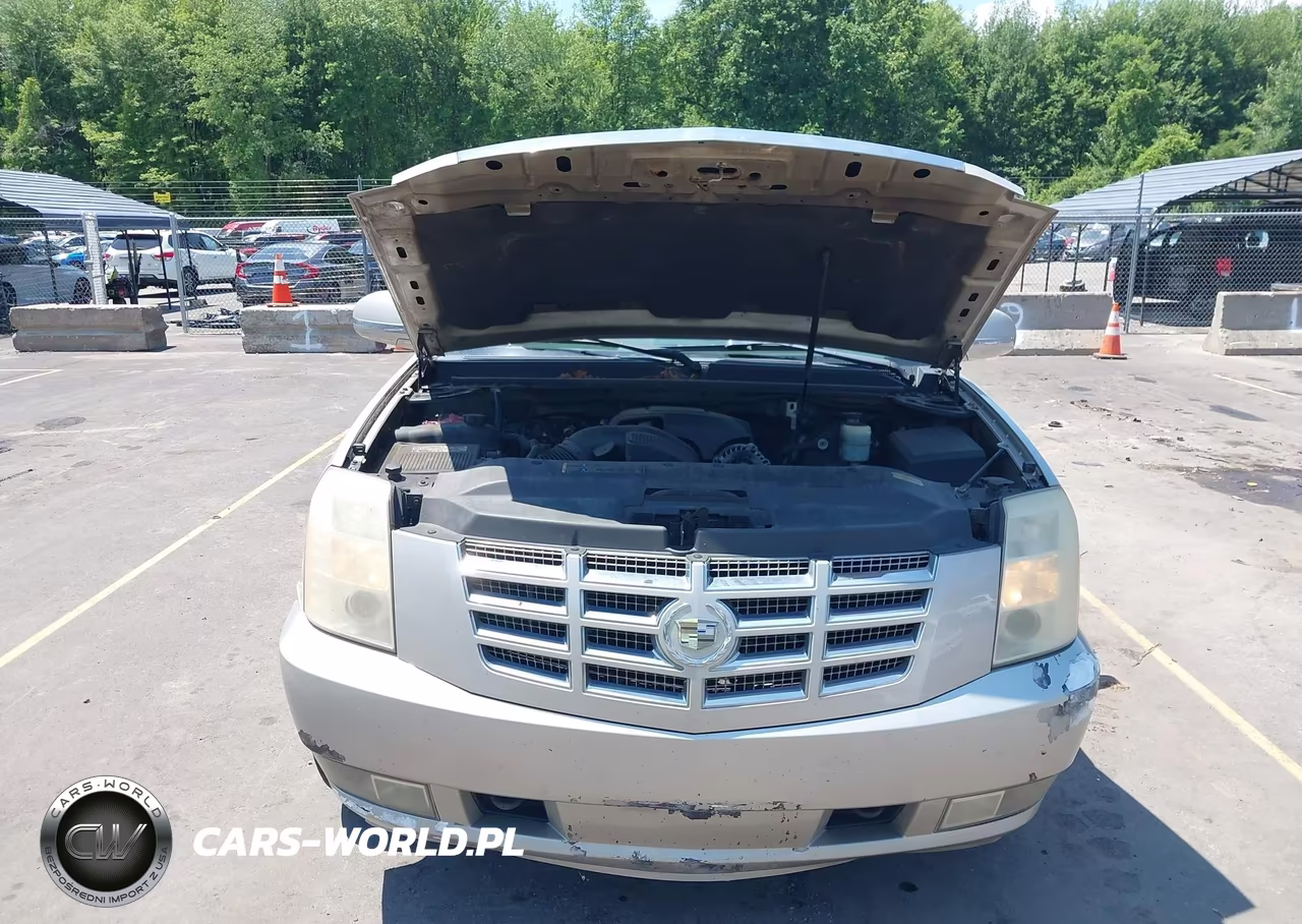 2007 Cadillac Escalade Esv Standard VIN:1GYFK66887R429407 - 10