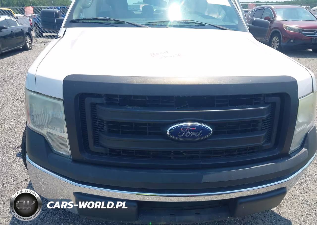 2014 Ford F-150 Xl VIN:1FTFX1CF3EKD95850 - 12