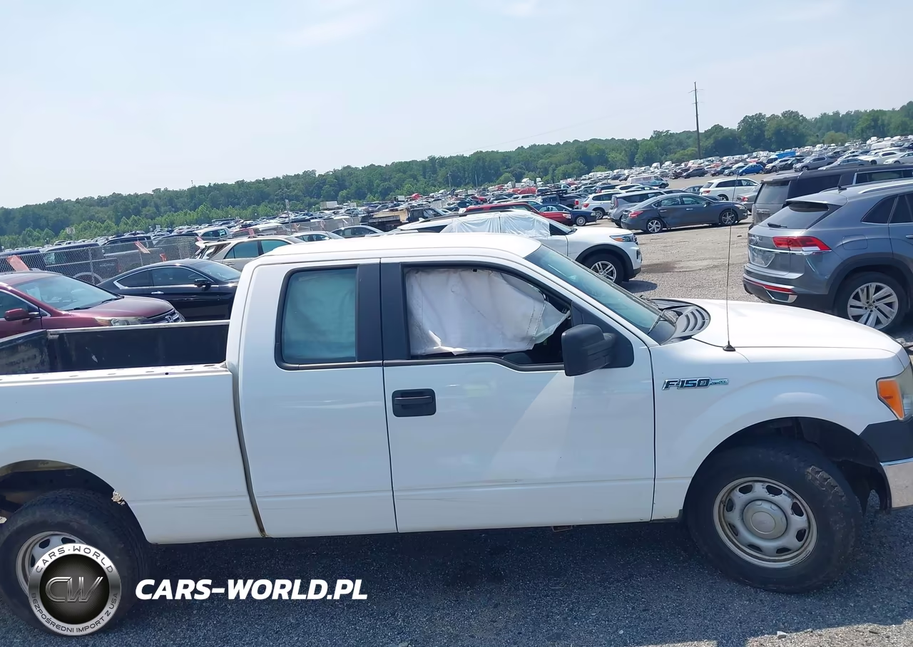 2014 Ford F-150 Xl VIN:1FTFX1CF3EKD95850 - 13