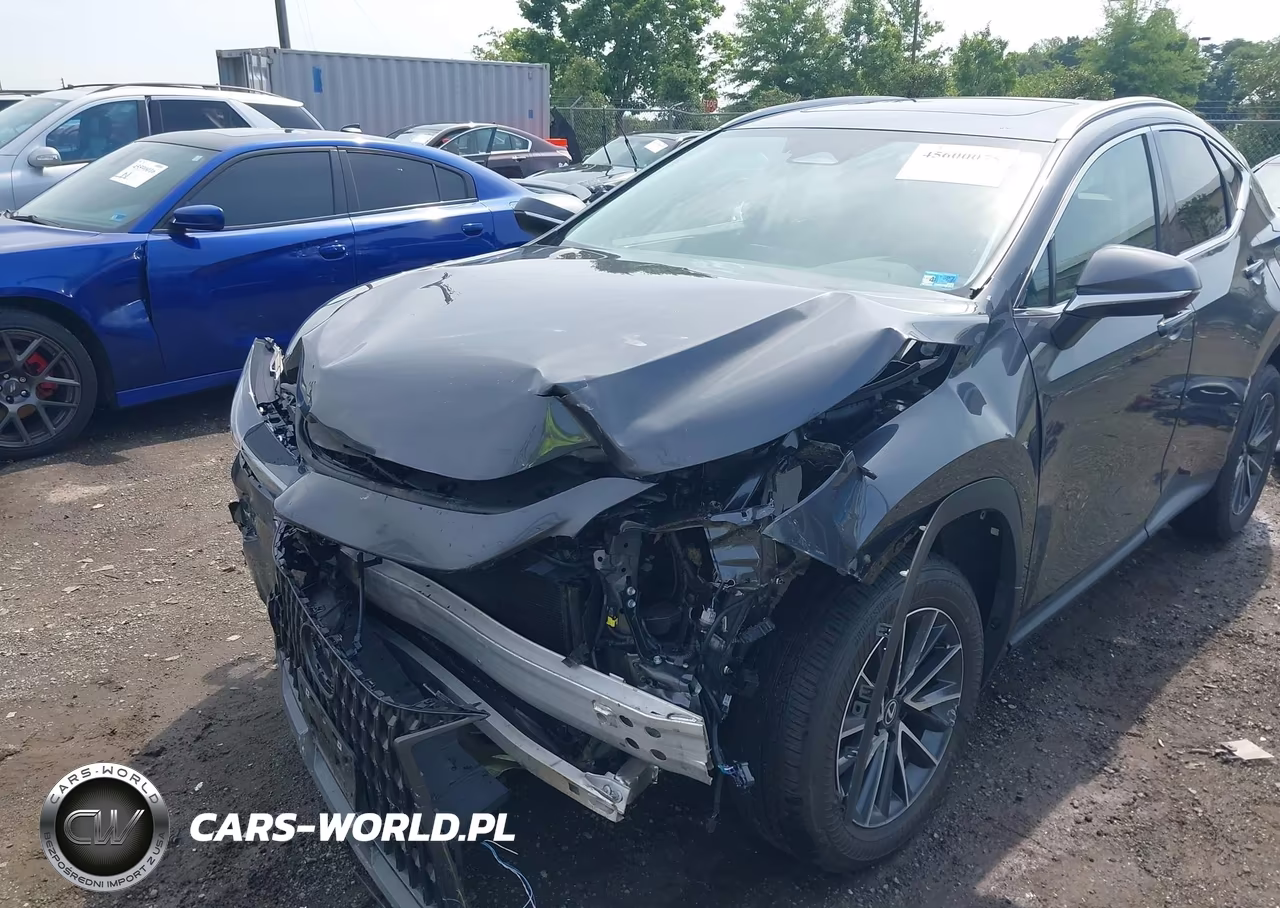2025 Lexus Nx 350 Premium VIN:2T2GGCEZ1SC081047 - 6
