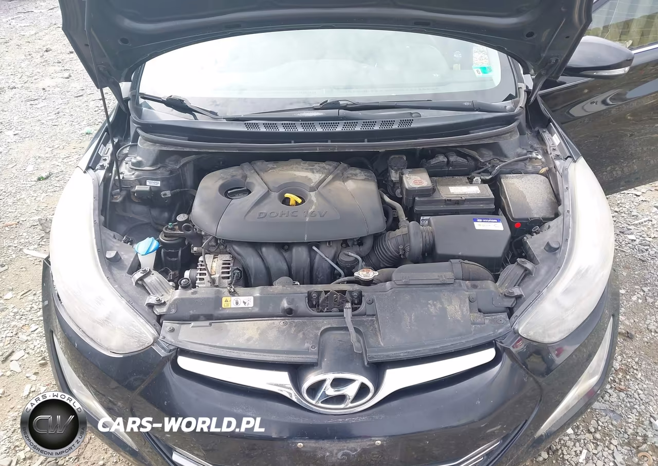2014 Hyundai Elantra Limited VIN:KMHDH4AE3EU171848 - 10
