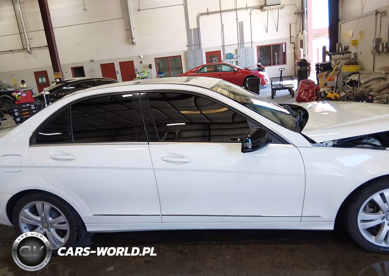 2010 Mercedes-Benz C 300 Luxury 4Matic-Sport 4Matic VIN:WDDGF8BB5AR090050 - 13