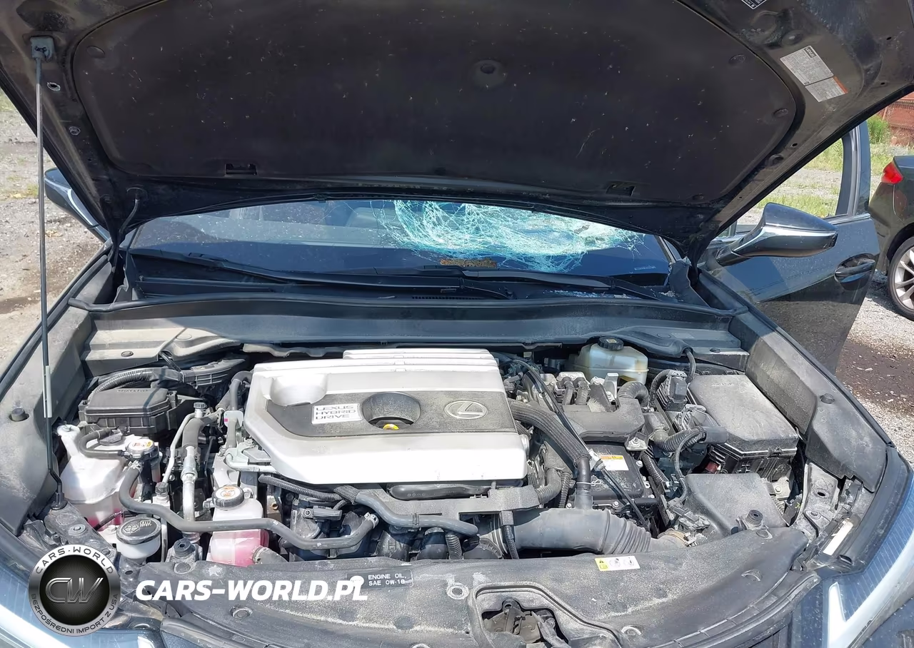 2020 Lexus Ux 250H VIN:JTHP9JBH6L2030026 - 10