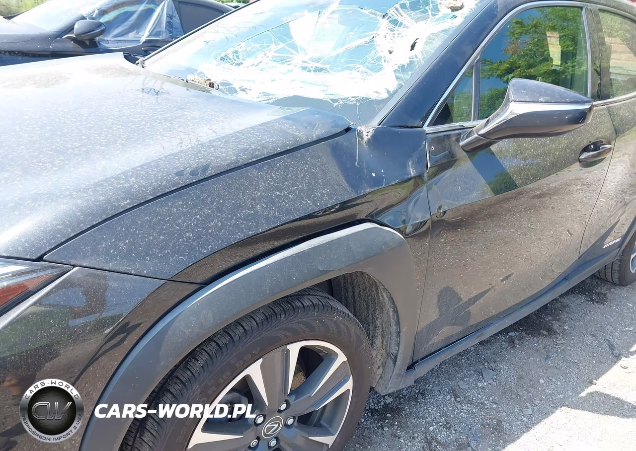 2020 Lexus Ux 250H VIN:JTHP9JBH6L2030026 - 12