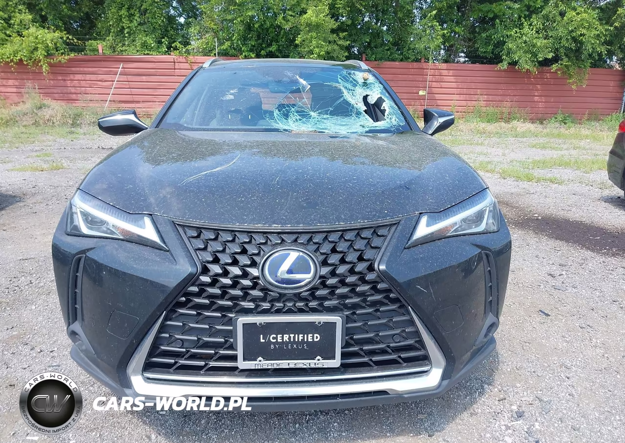 2020 Lexus Ux 250H VIN:JTHP9JBH6L2030026 - 13
