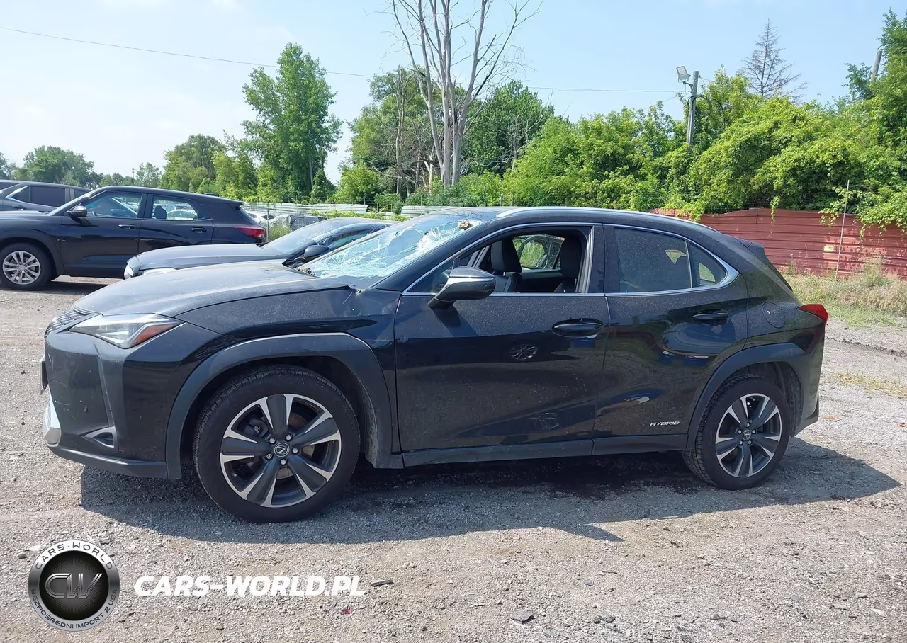 2020 Lexus Ux 250H VIN:JTHP9JBH6L2030026 - 15