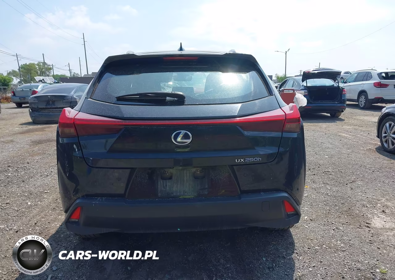 2020 Lexus Ux 250H VIN:JTHP9JBH6L2030026 - 17