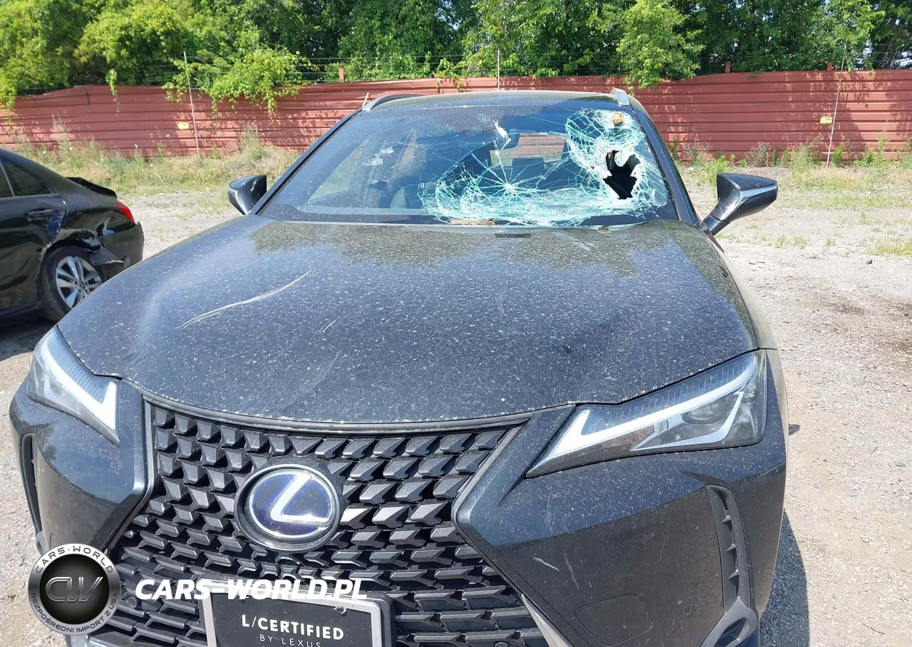 2020 Lexus Ux 250H VIN:JTHP9JBH6L2030026 - 6