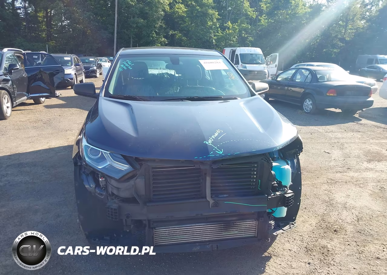 2018 Chevrolet Equinox Ls VIN:3GNAXHEV0JL116362 - 13