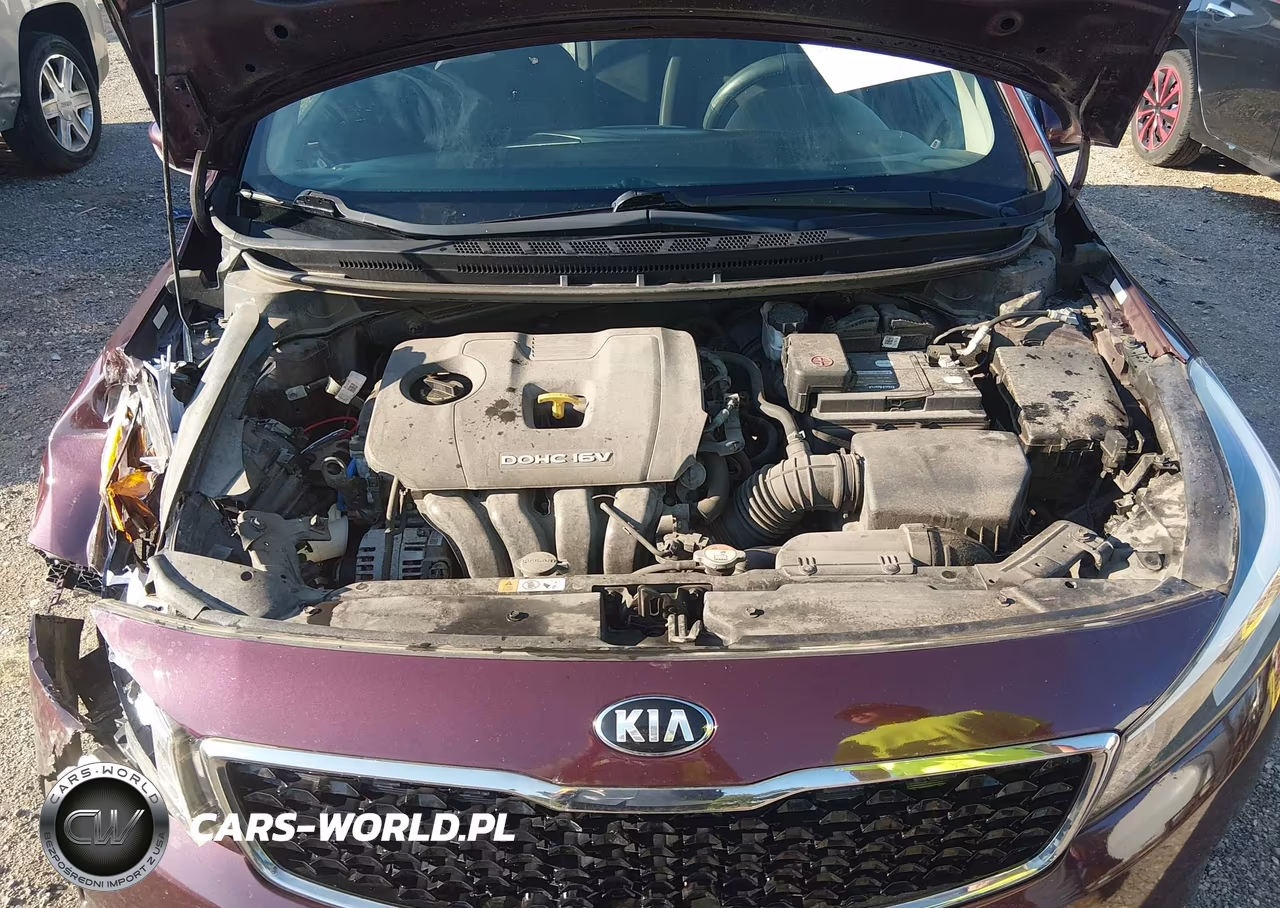 2018 Kia Forte Lx VIN:3KPFL4A79JE193648 - 10