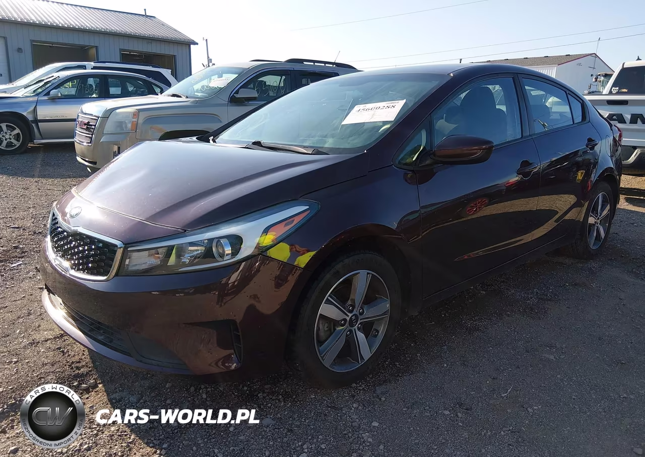 2018 Kia Forte Lx VIN:3KPFL4A79JE193648 - 2
