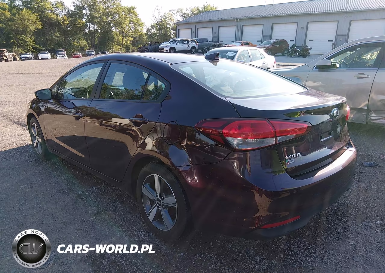 2018 Kia Forte Lx VIN:3KPFL4A79JE193648 - 3