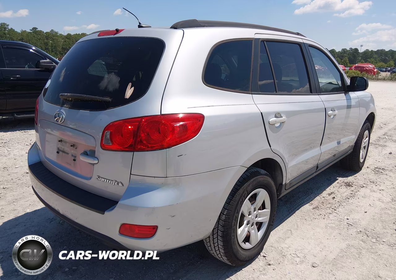 2009 Hyundai Santa Fe Gls VIN:5NMSG13D09H330601 - 4