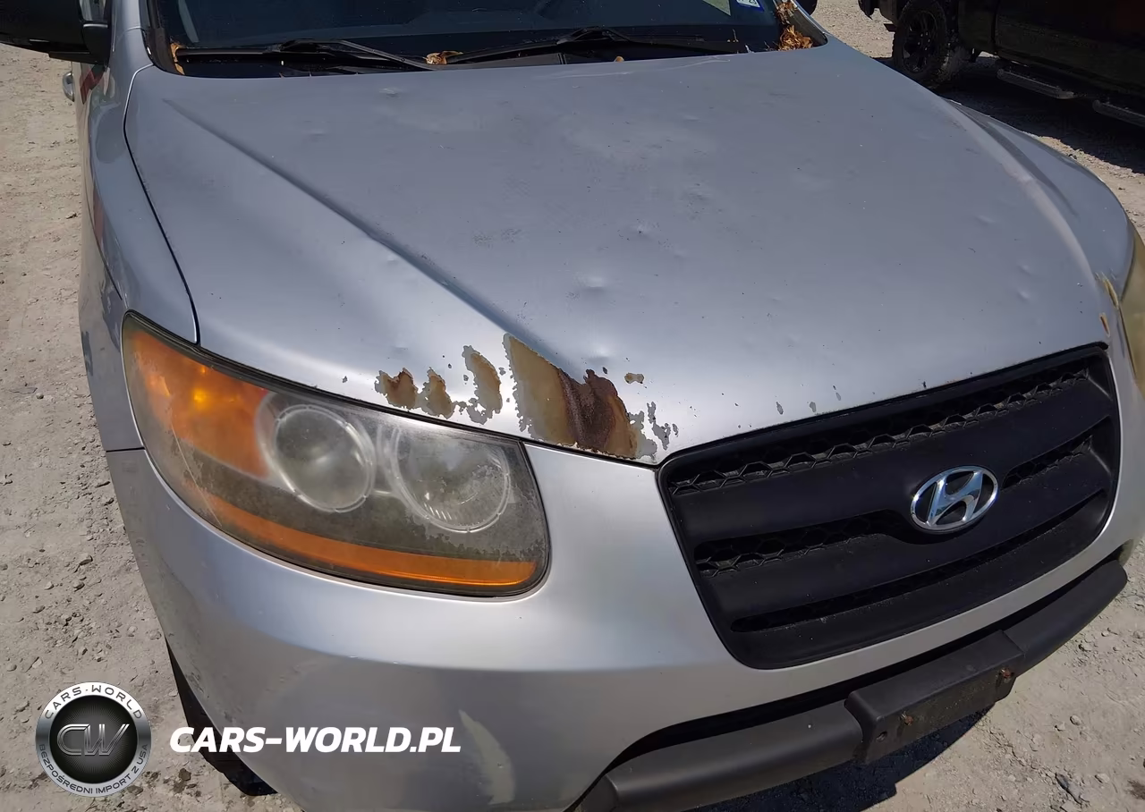 2009 Hyundai Santa Fe Gls VIN:5NMSG13D09H330601 - 6