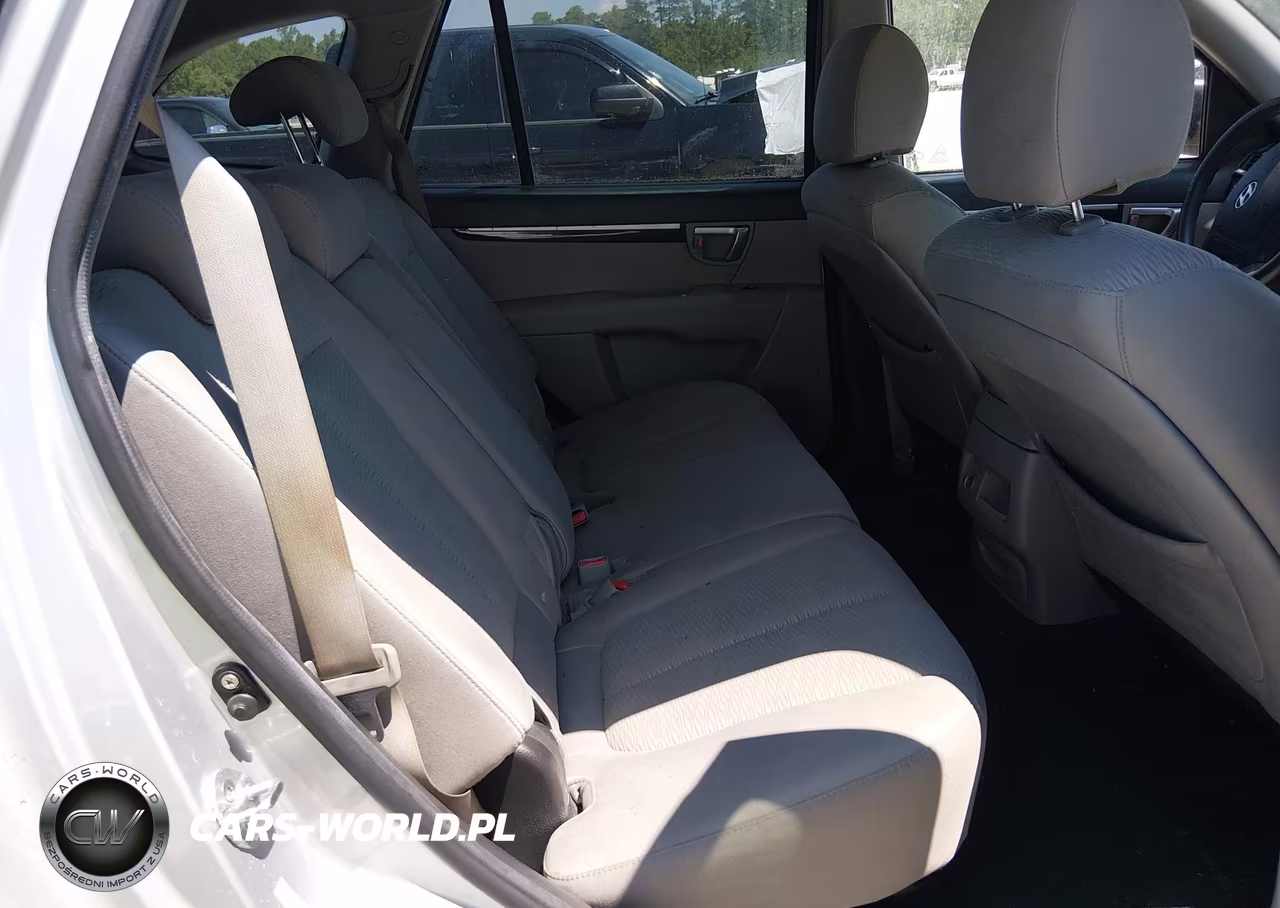 2009 Hyundai Santa Fe Gls VIN:5NMSG13D09H330601 - 8