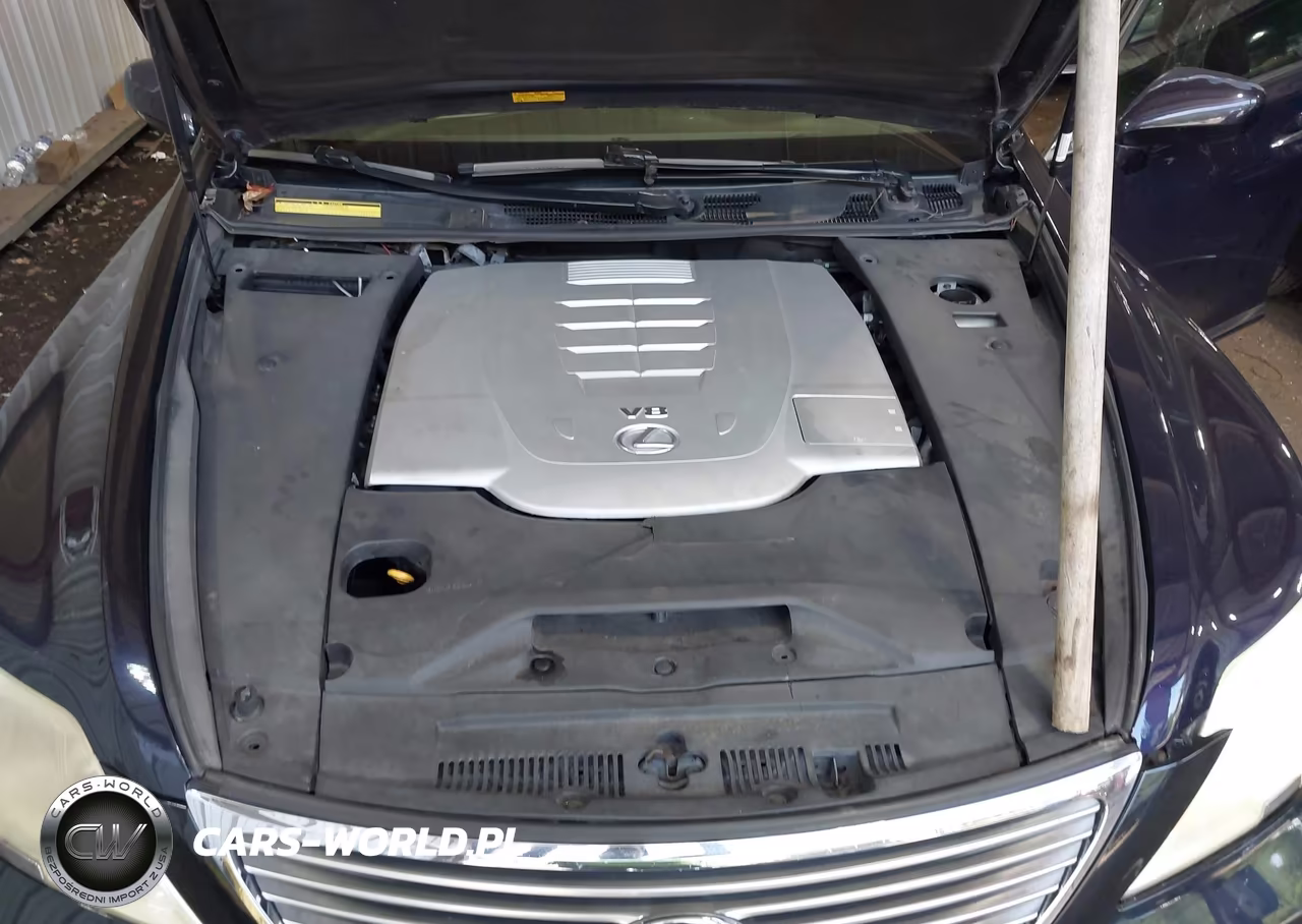 2008 Lexus Ls 460 VIN:JTHBL46F085052213 - 10