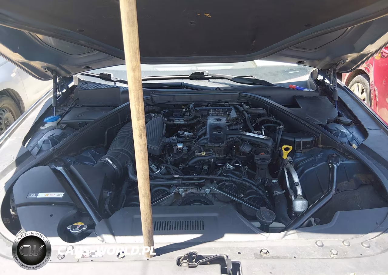 2016 Hyundai Genesis 3.8 VIN:KMHGN4JE8GU106261 - 10