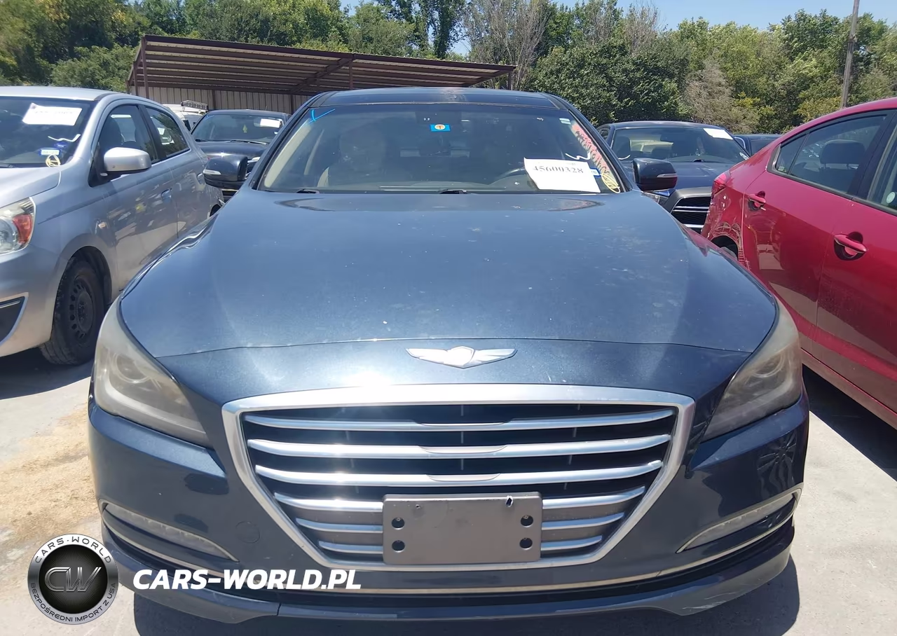2016 Hyundai Genesis 3.8 VIN:KMHGN4JE8GU106261 - 13