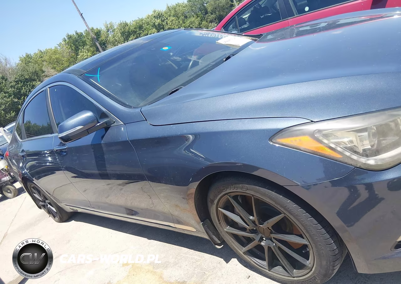 2016 Hyundai Genesis 3.8 VIN:KMHGN4JE8GU106261 - 14