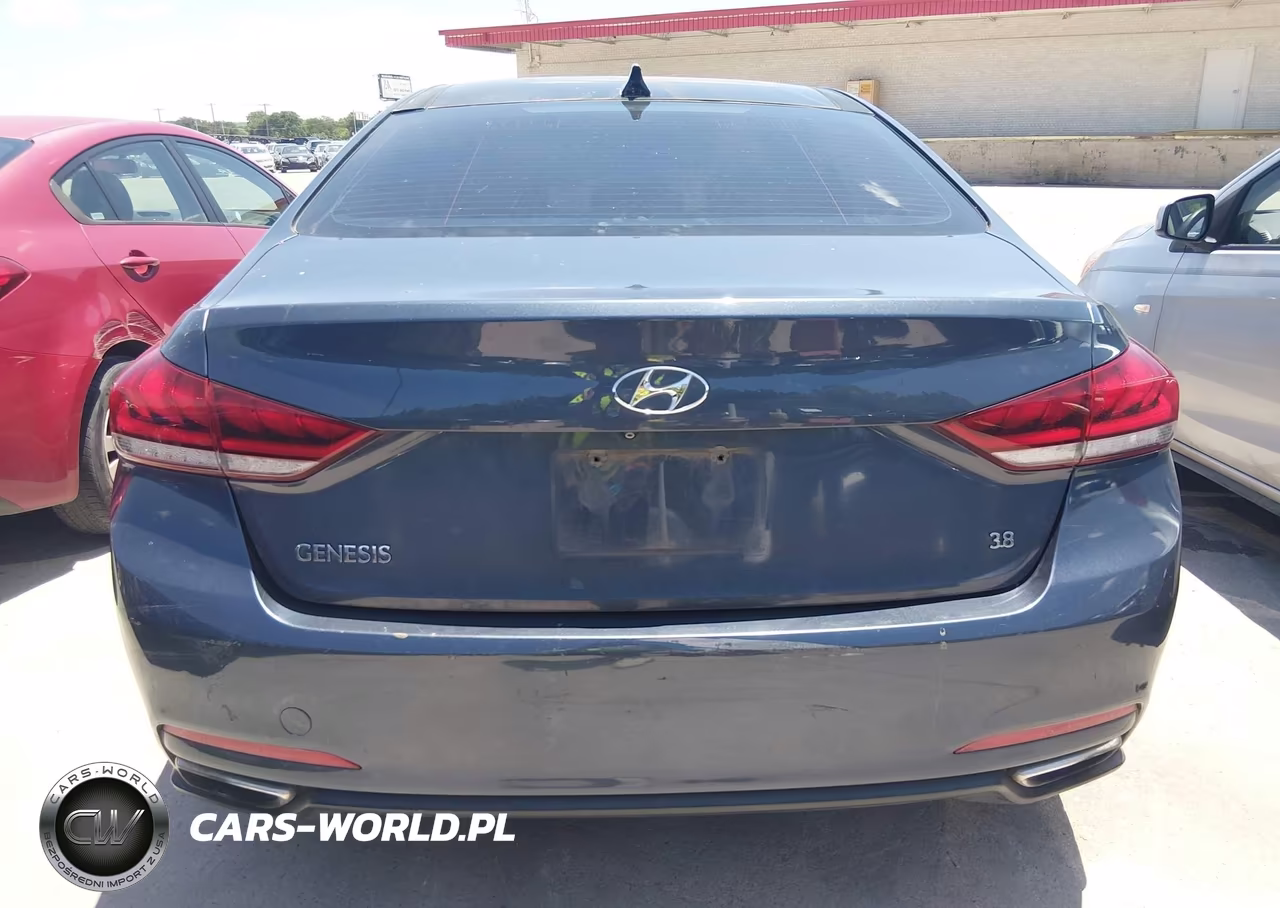 2016 Hyundai Genesis 3.8 VIN:KMHGN4JE8GU106261 - 17
