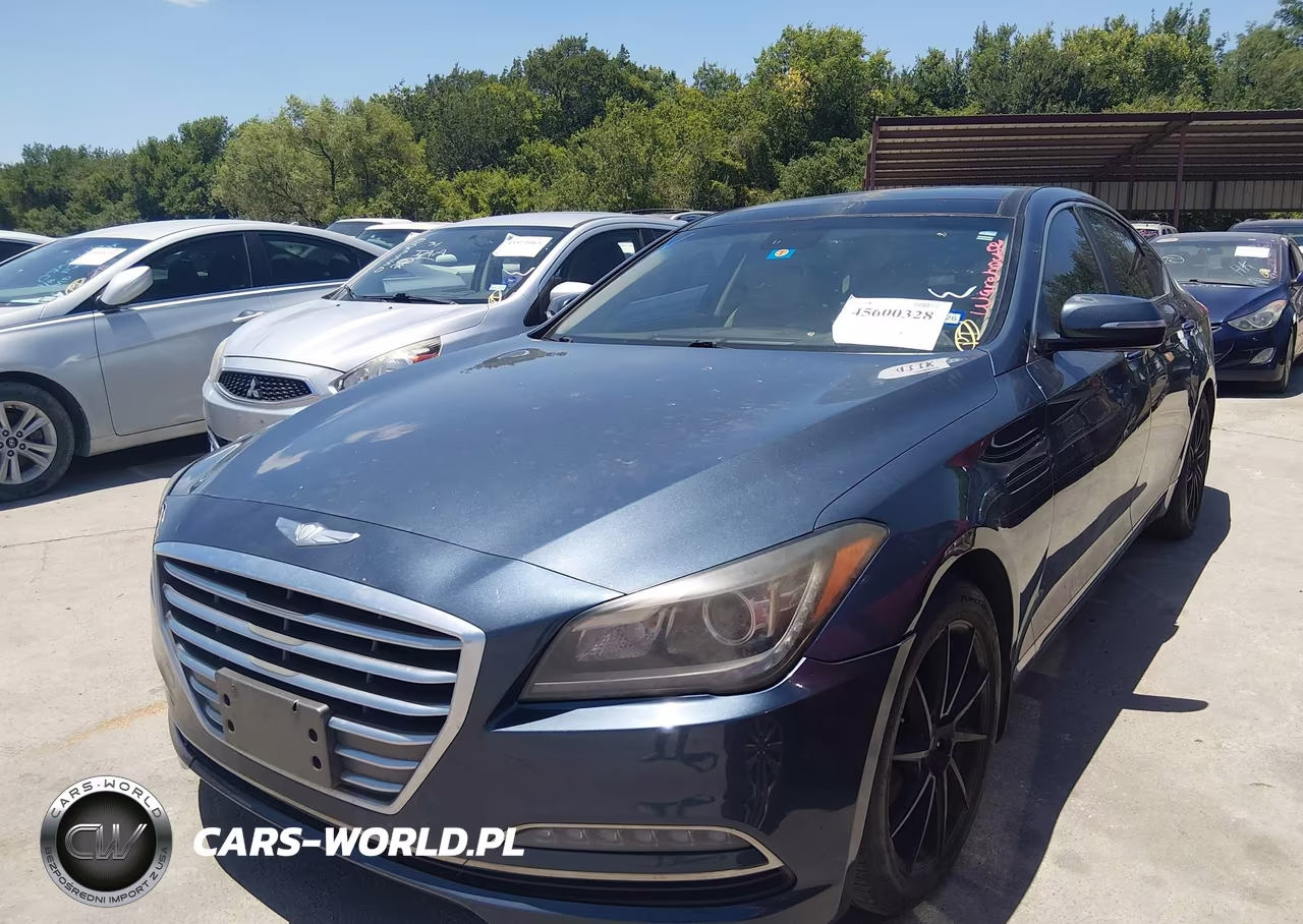 2016 Hyundai Genesis 3.8 VIN:KMHGN4JE8GU106261 - 2
