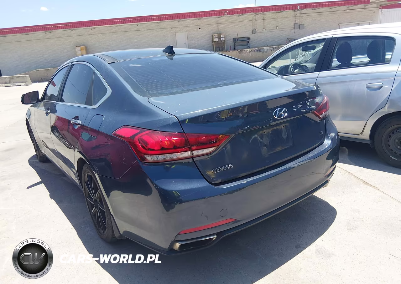 2016 Hyundai Genesis 3.8 VIN:KMHGN4JE8GU106261 - 3