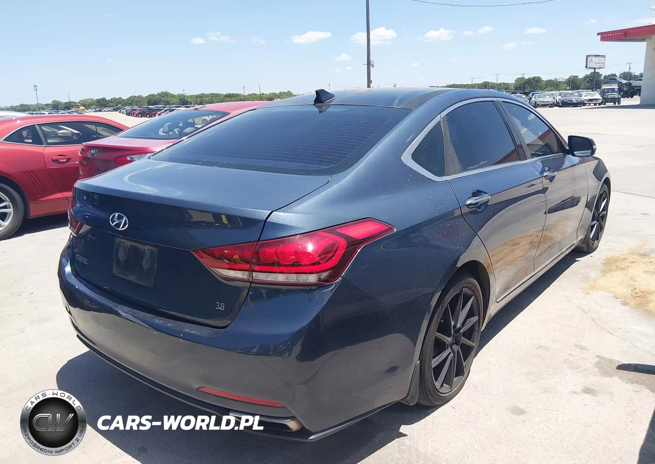 2016 Hyundai Genesis 3.8 VIN:KMHGN4JE8GU106261 - 4