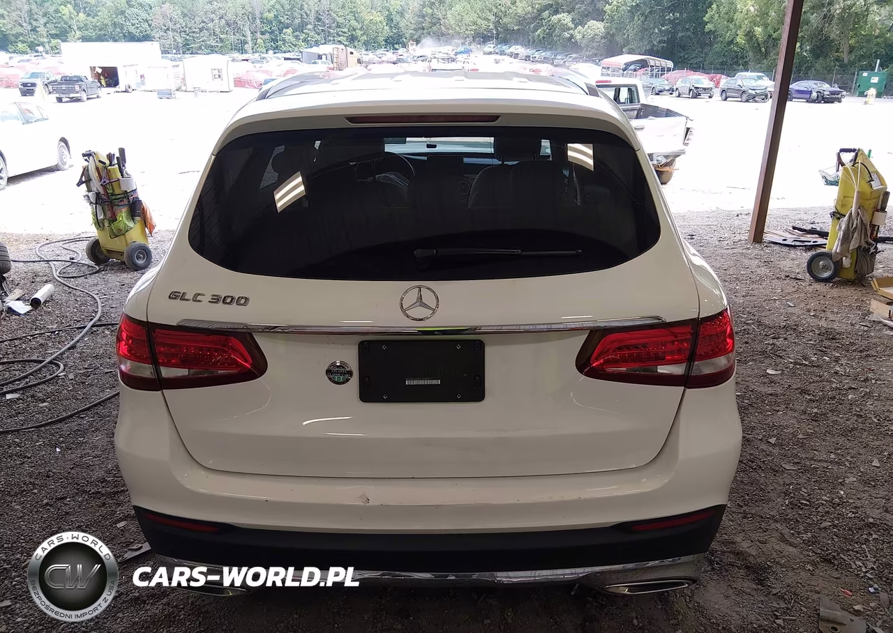 2019 Mercedes-Benz Glc 300 VIN:WDC0G4JB4KV126817 - 16