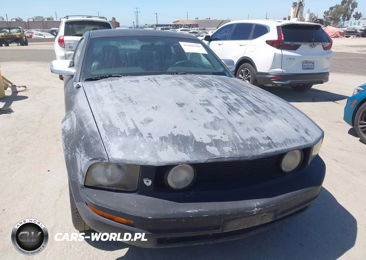 2007 Ford Mustang V6 Deluxe-V6 Premium VIN:1ZVFT80N275260986 - 6