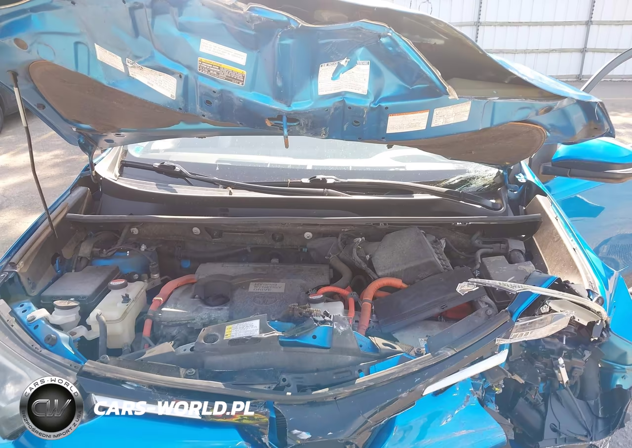 2016 Toyota Rav4 Hybrid Xle VIN:JTMRJREV0GD041454 - 10