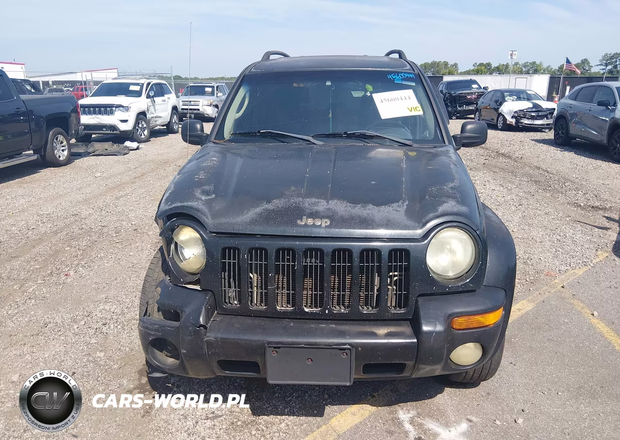 2003 Jeep Liberty Limited Edition VIN:1J4GK58K23W616290 - 12