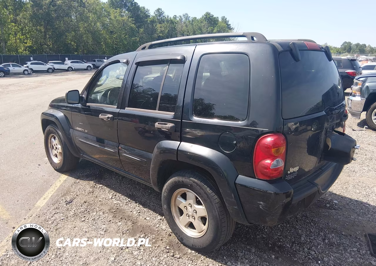 2003 Jeep Liberty Limited Edition VIN:1J4GK58K23W616290 - 3