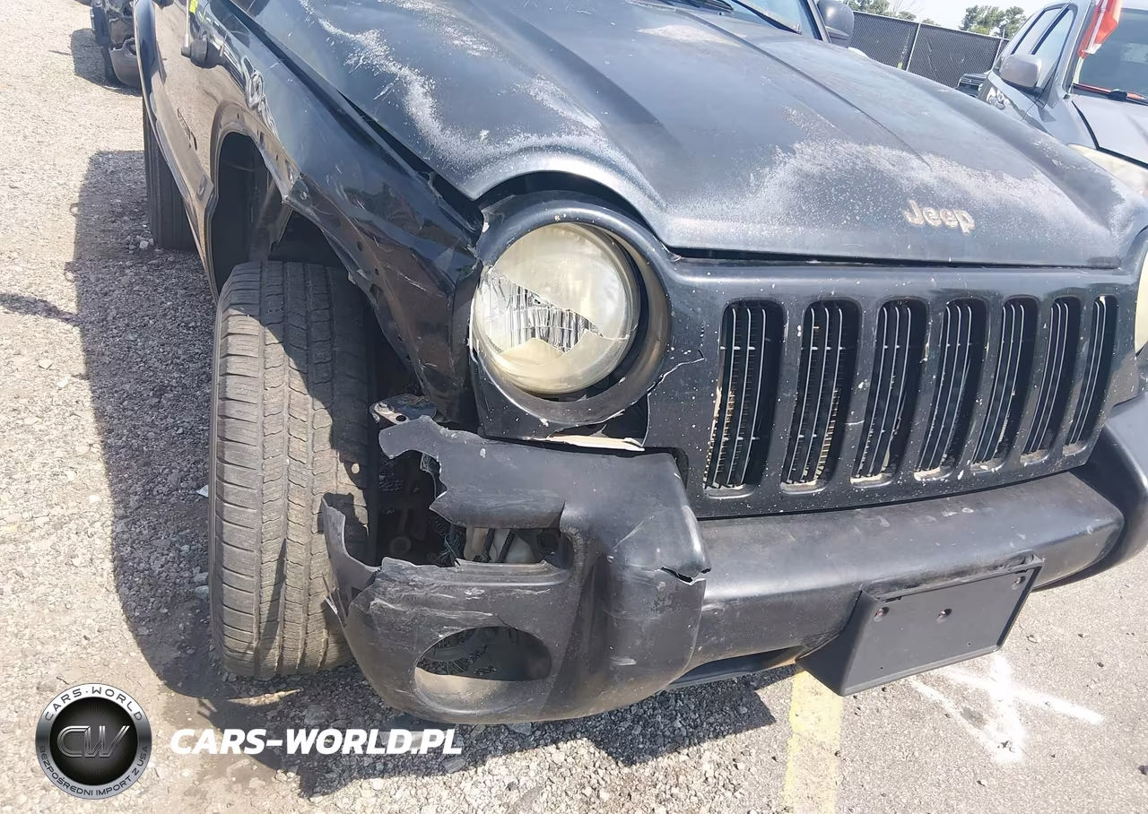 2003 Jeep Liberty Limited Edition VIN:1J4GK58K23W616290 - 6