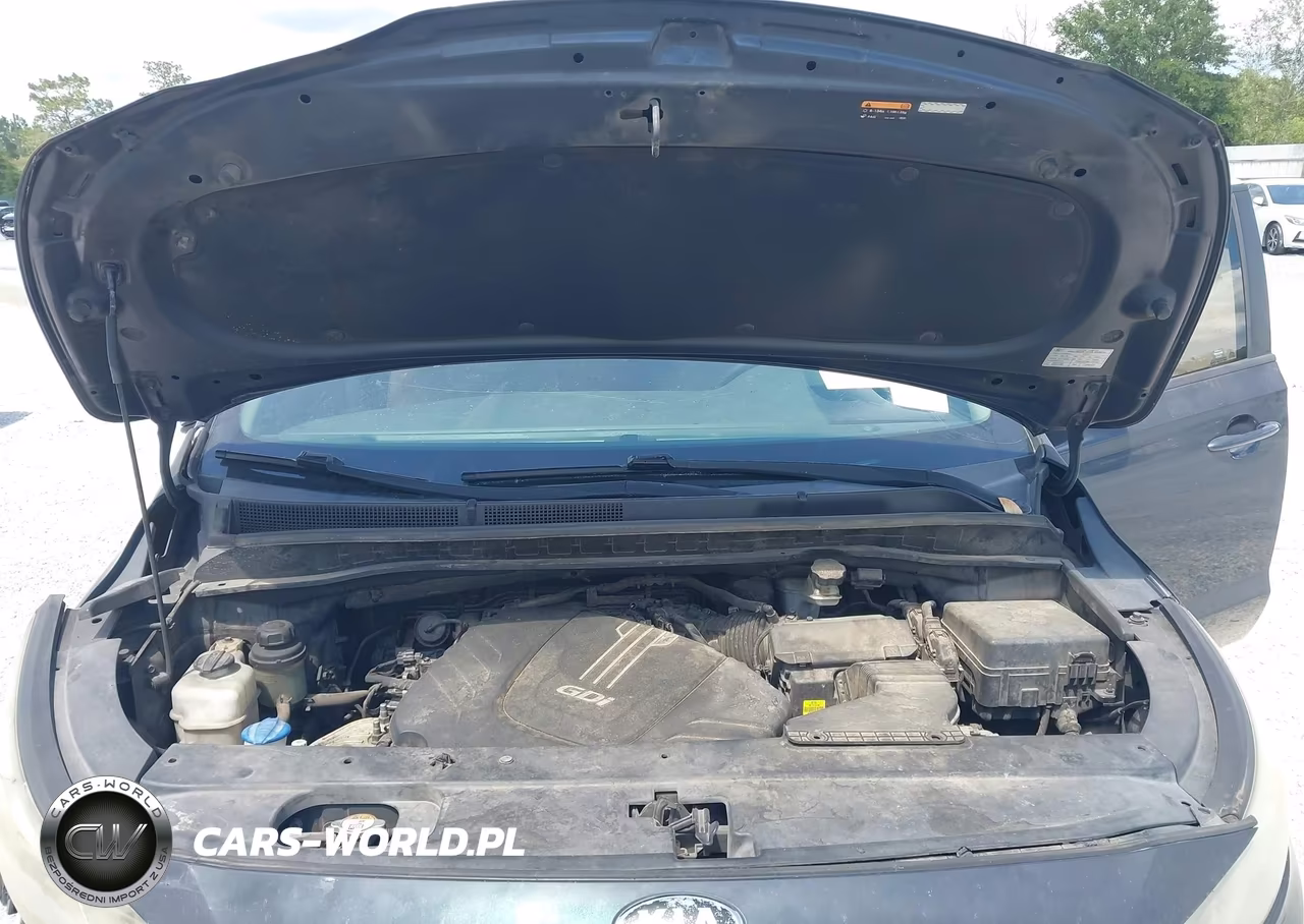 2016 Kia Sedona Lx VIN:KNDMB5C12G6162068 - 10