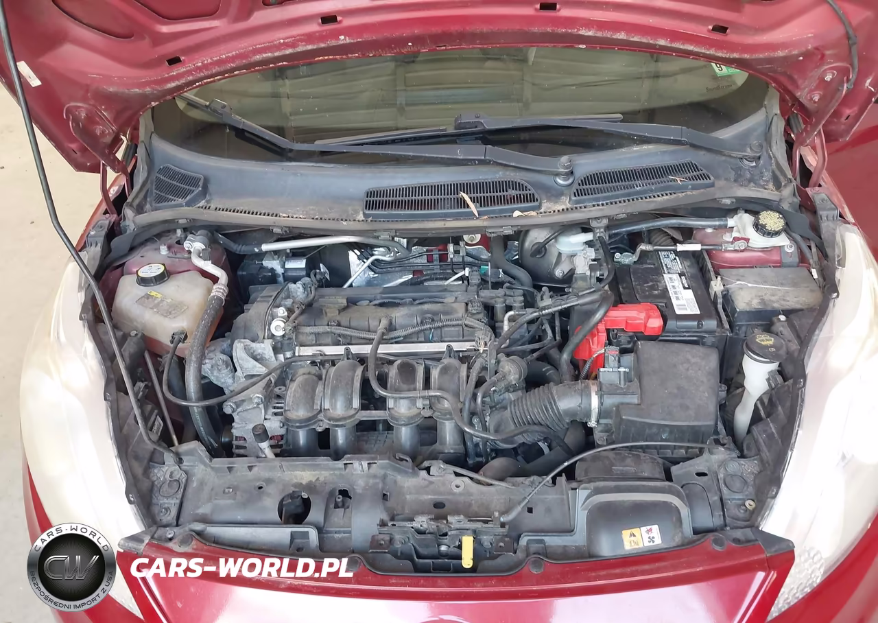 2013 Ford Fiesta Se VIN:3FADP4EJ5DM184060 - 10
