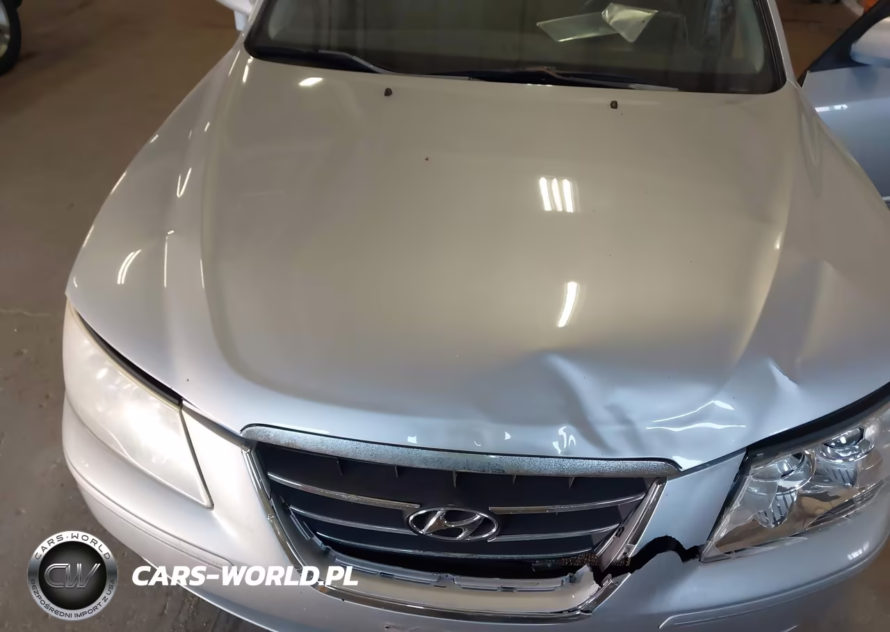 2010 Hyundai Sonata Gls VIN:5NPET4AC2AH641488 - 10
